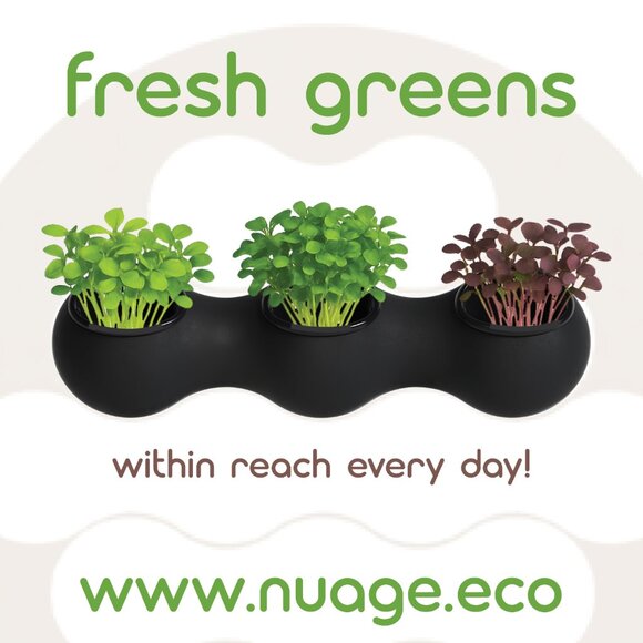 NUAGE Vertical Garden - Picture 4 of 14